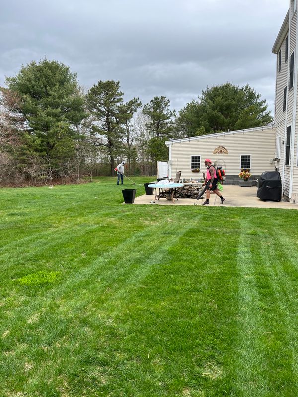 Mowing gallery