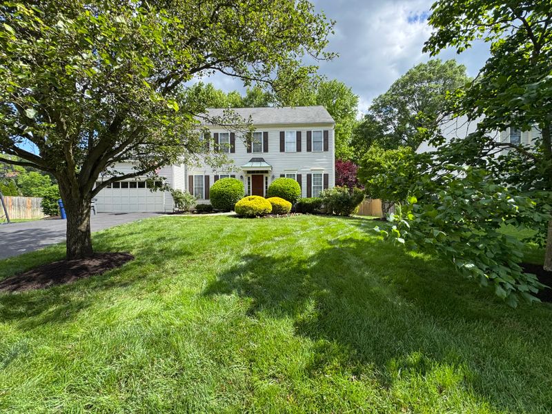 Lawn Care & Maintenance