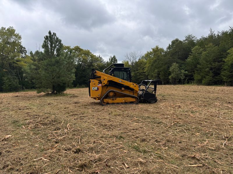 Forestry Mulching