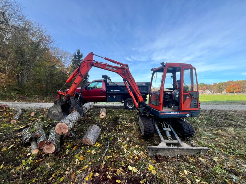 Brush & Tree Removal