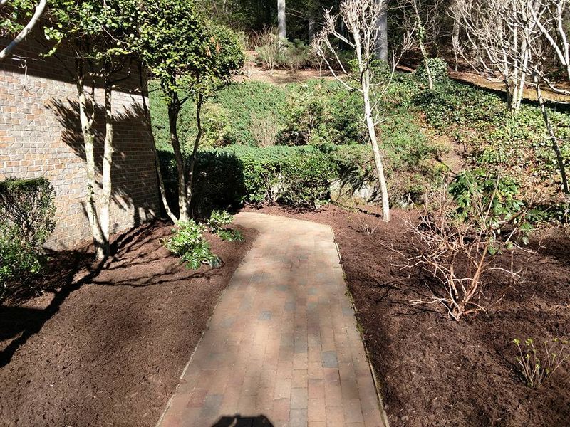 Fall and Spring Clean Up