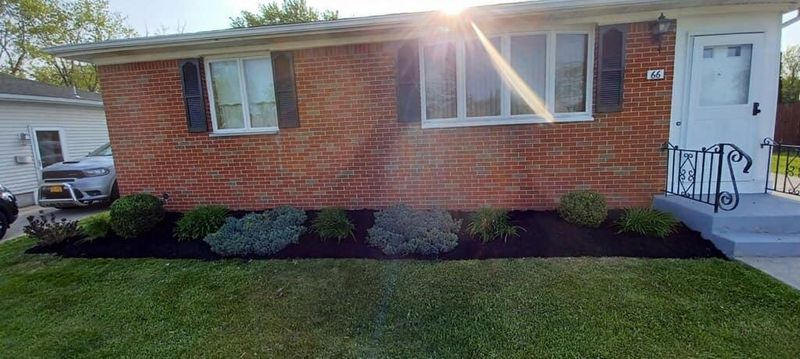 Shrub & Plant Installation Photos