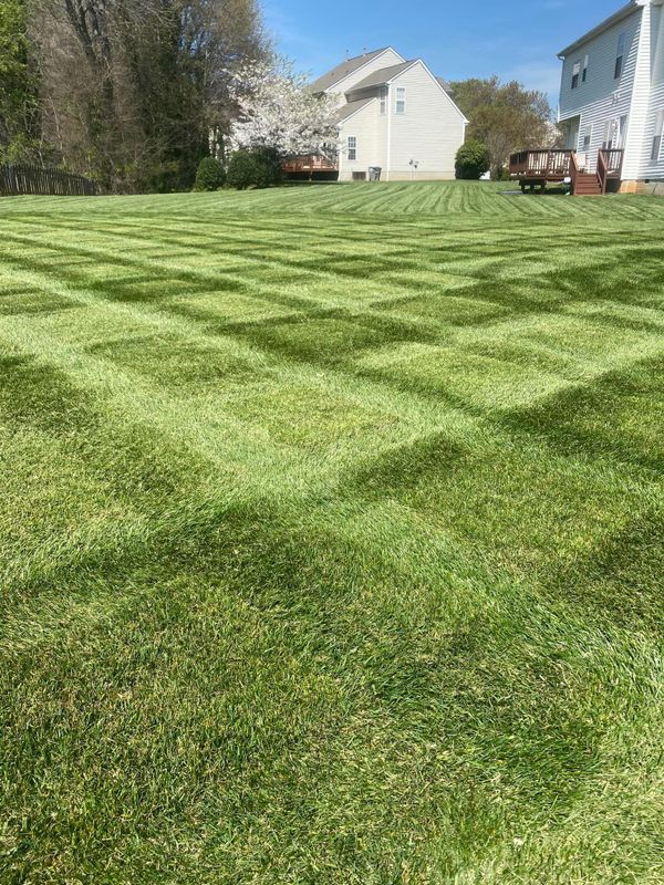 Lawn Care