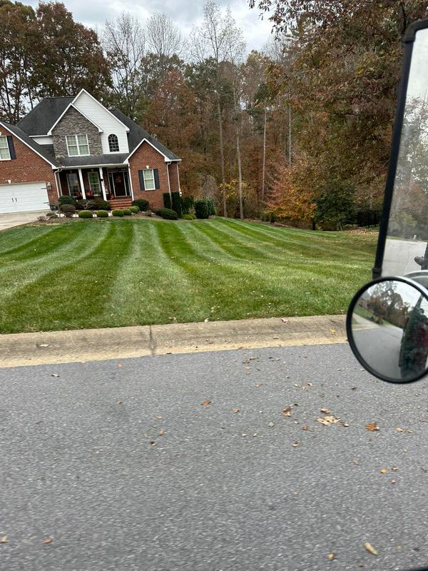 Landscaping 