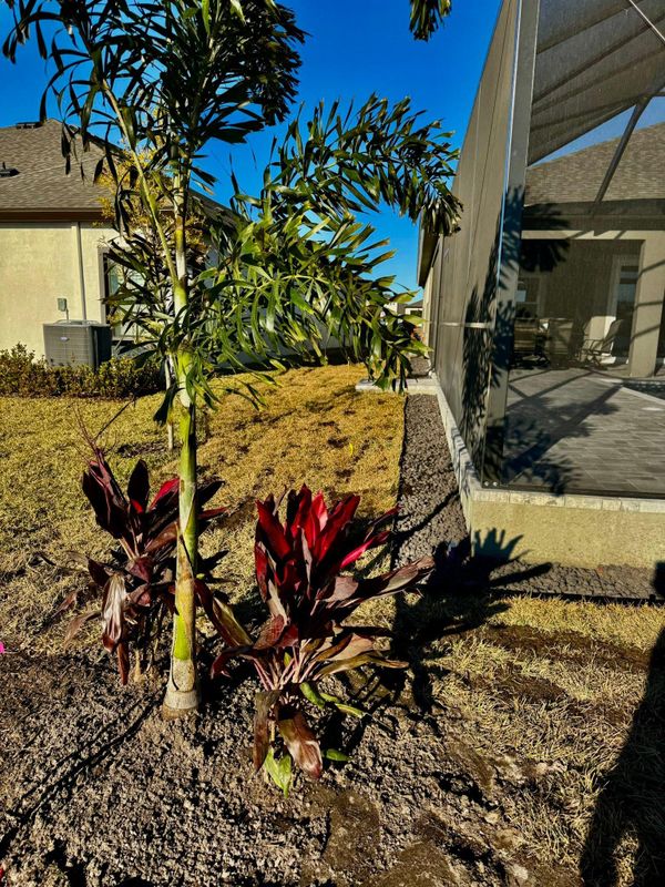 Landscaping