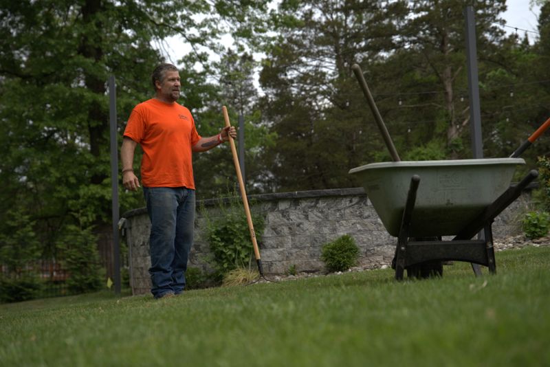Lawn Maintenance