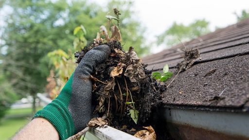 Gutter Cleaning