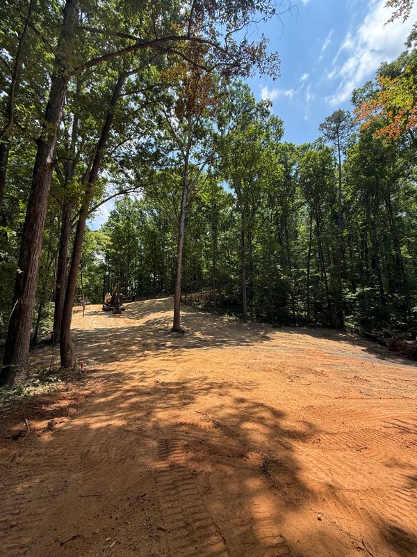 Land Clearing