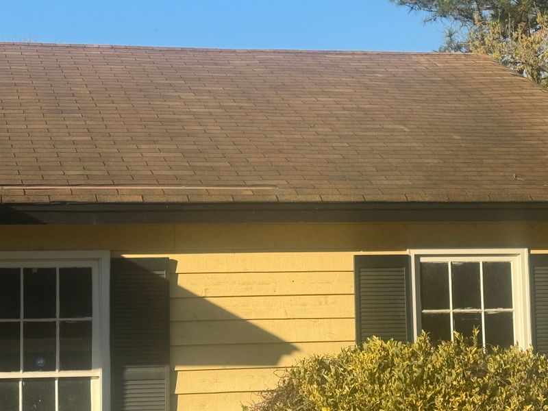 Roofing Repairs