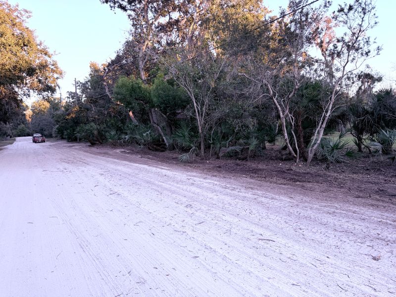 Land Clearing