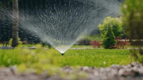 Irrigation