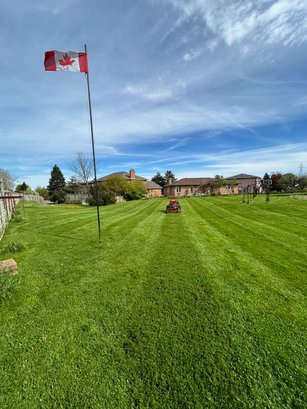 Lawn Mowing