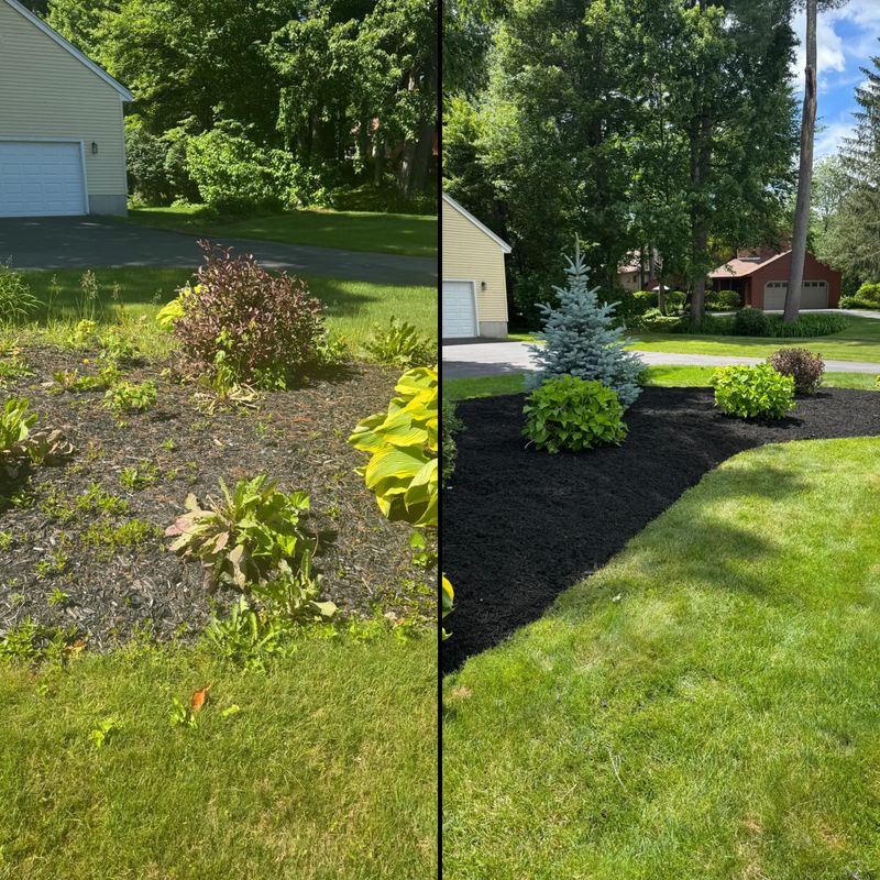 Lawn Maintenance