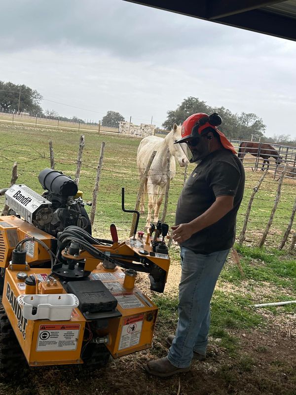 Stump Grinding gallery