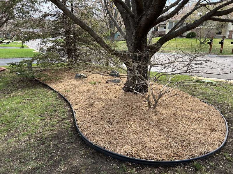Mulching & Edging