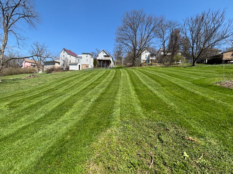 Commercial Lawn Maintenance