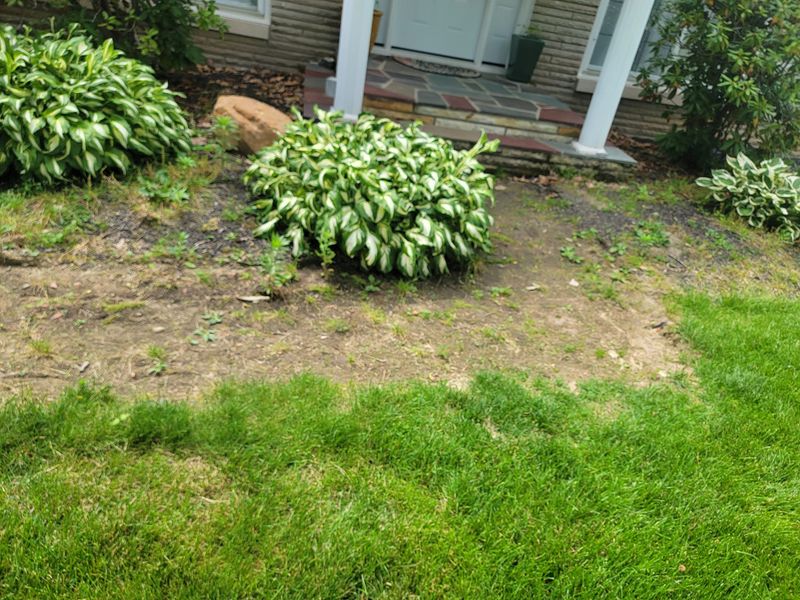 Landscaping