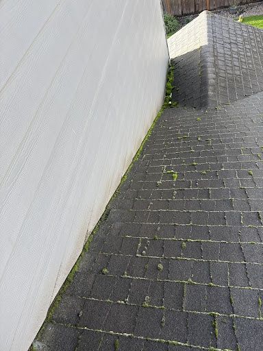 Roof Cleaning