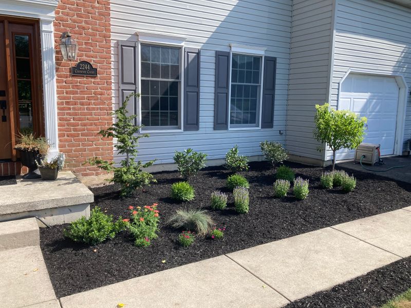 Landscape Design
