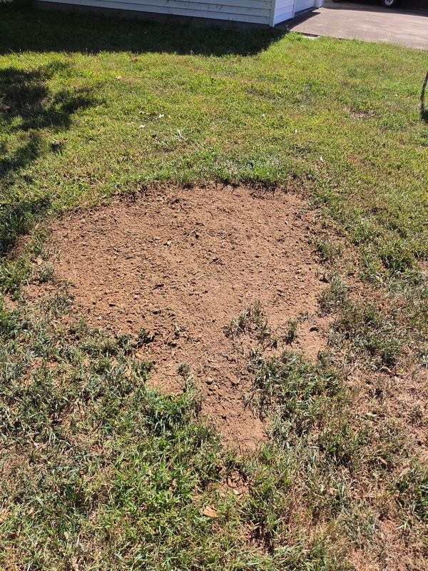 Stump Grinding