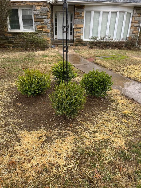 Landscape Design & Installation