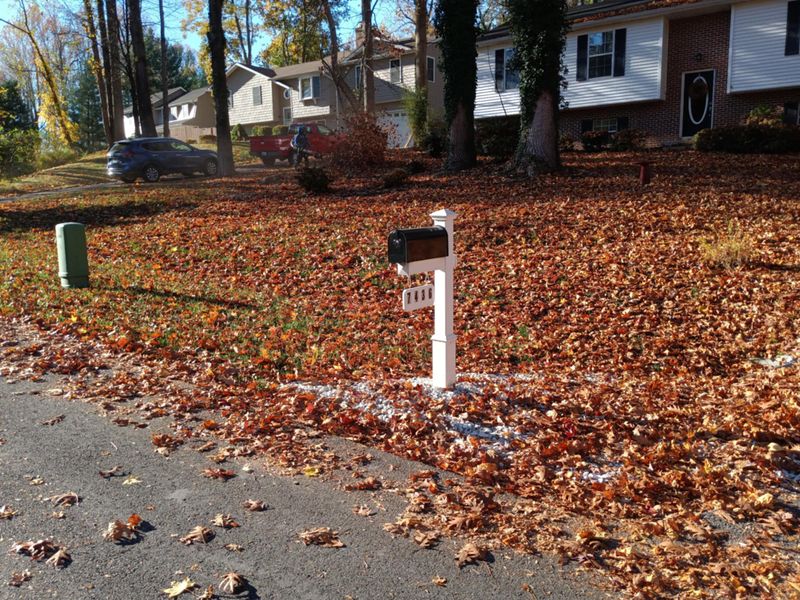Leaf and Fall Cleanup
