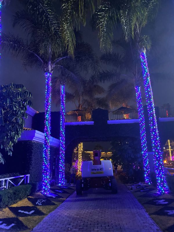 Christmas Light Installation