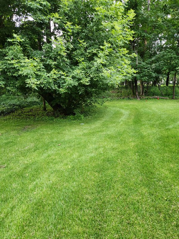 Mowing 