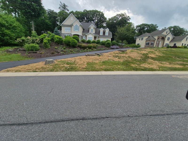 Plant & Shrub Installations