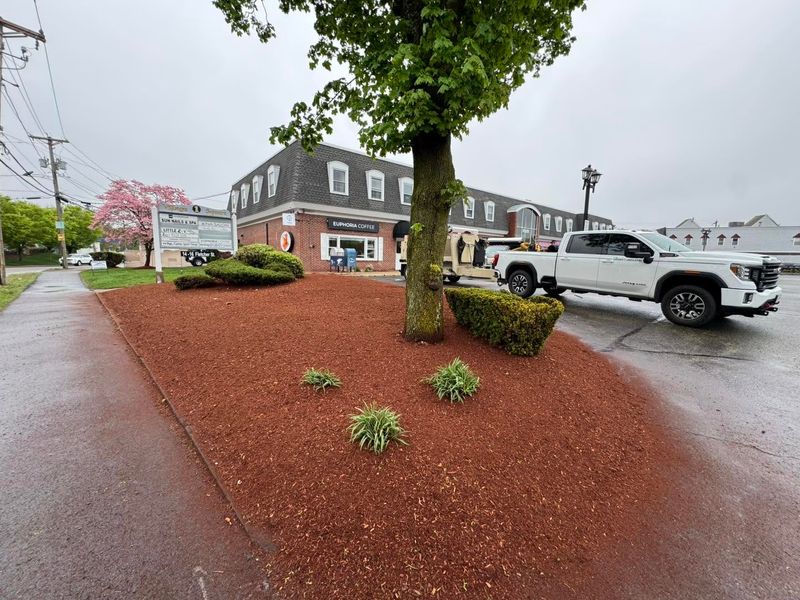 Mulch Installation
