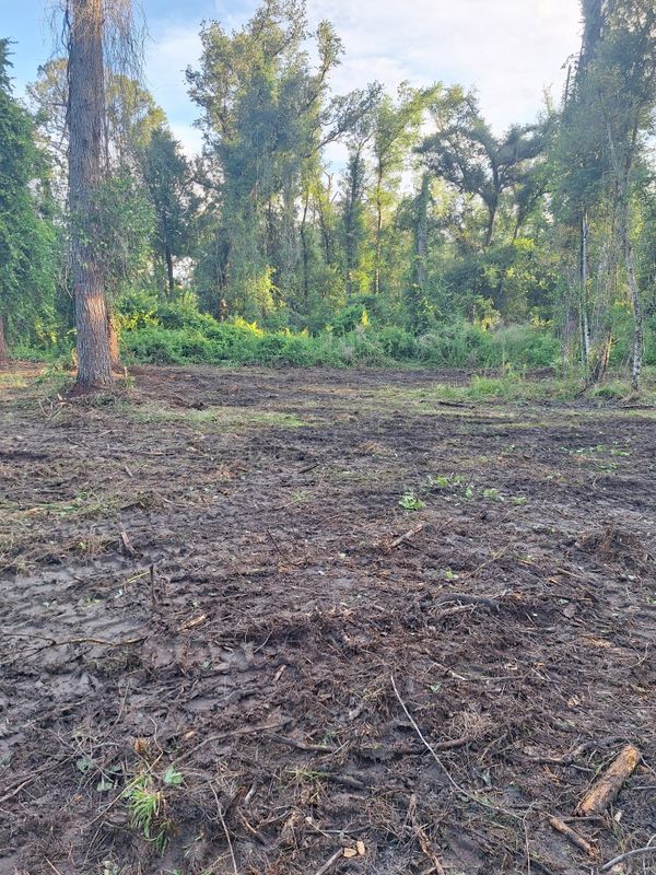 Land Clearing