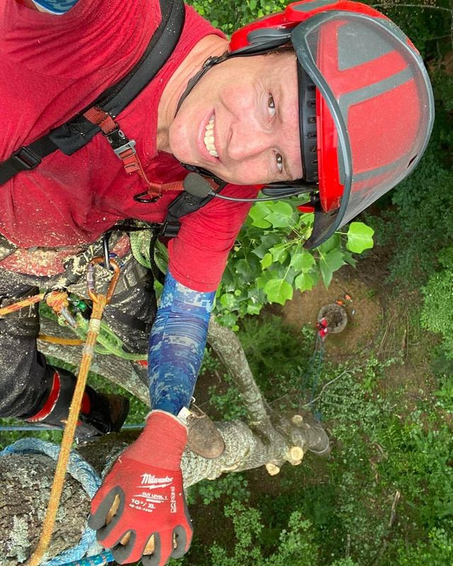 Tree Trimming