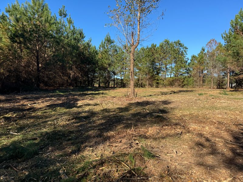 Forestry Mulching