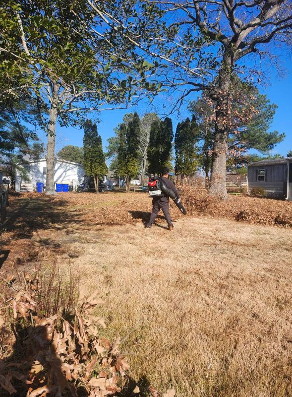 Fall and Spring Clean Up