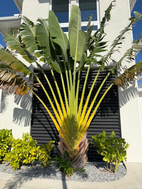 Landscape Design and Installation
