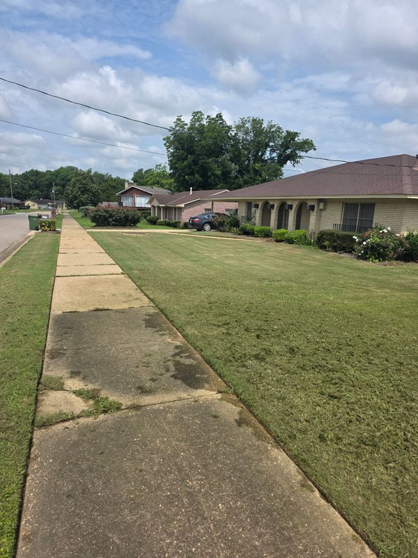 Lawn Maintenance