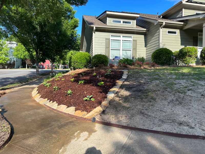 Landscape Design and Installation