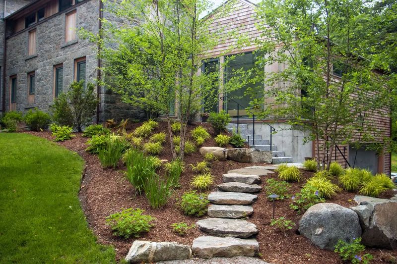 New Landscape Construction