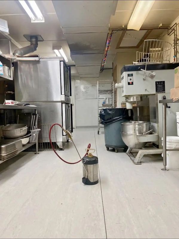 Pest Control gallery