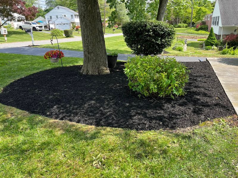 Landscape Design & Installation
