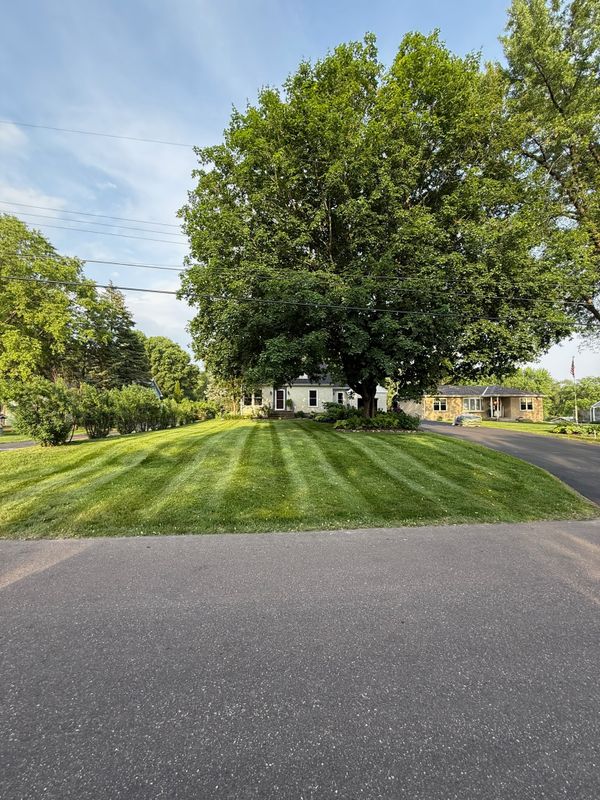Lawn Mowing