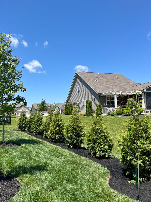 Landscape Maintenance