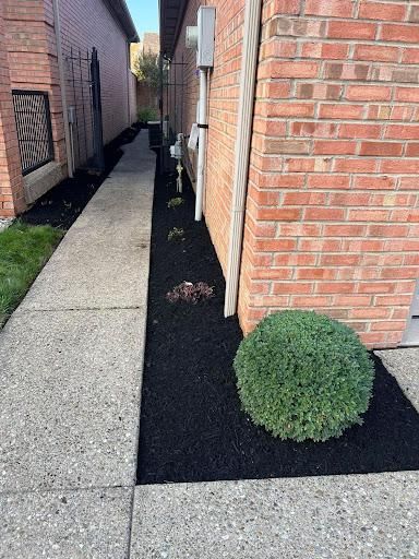 Shrub Trimming