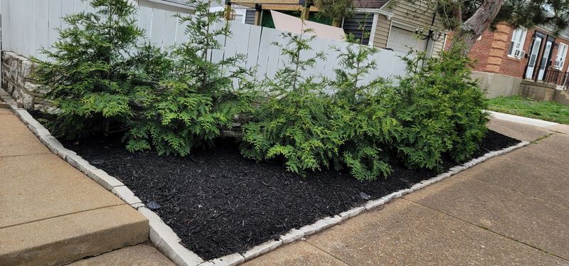Mulch Installation
