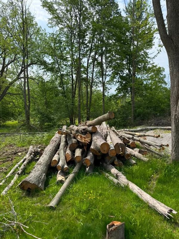 Land Clearing and Site Preparation