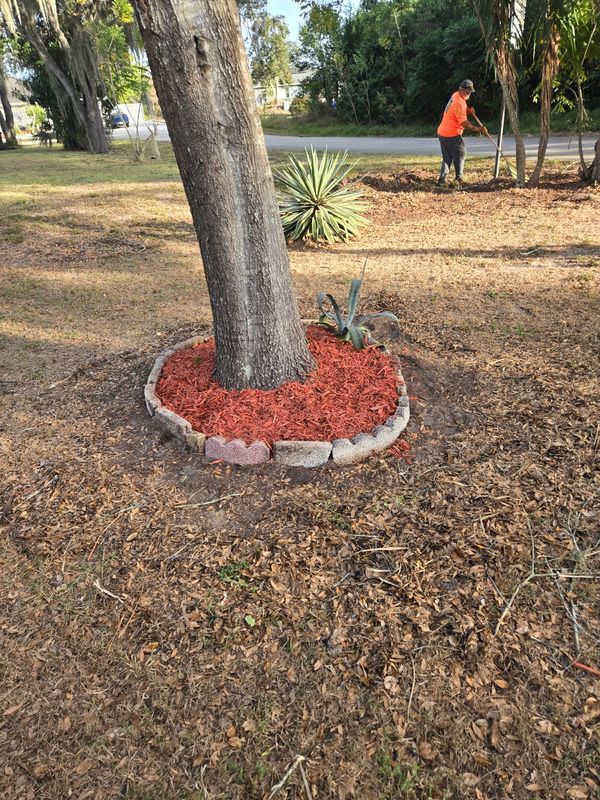 Lawn Care & Maintenance