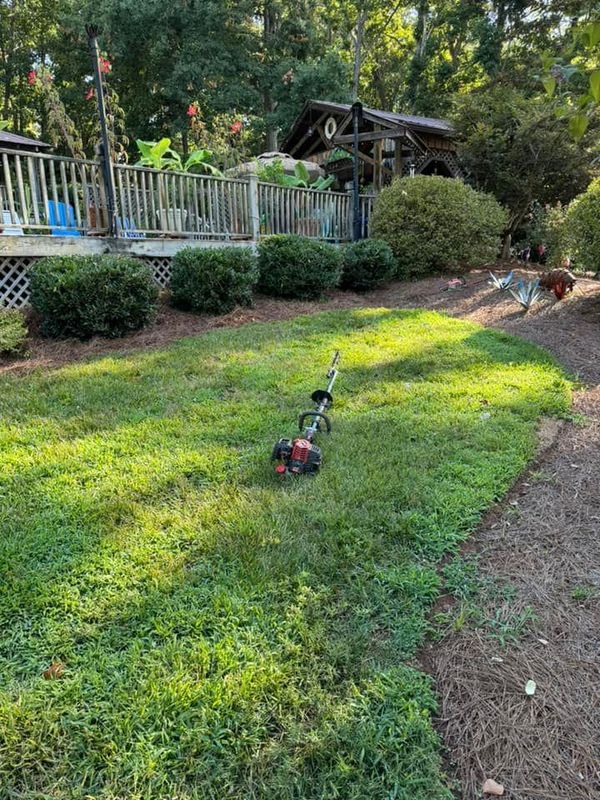 Shrub Trimming