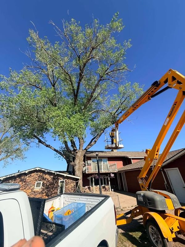 Tree Pruning