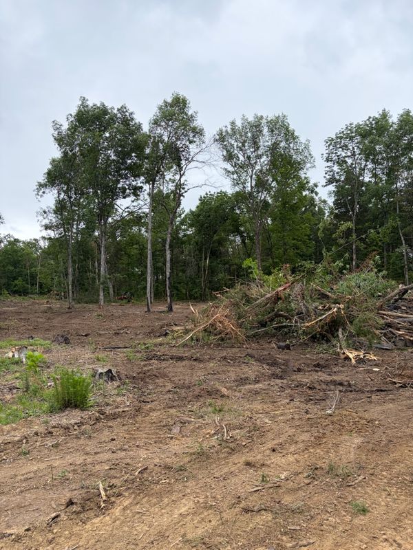 Land Clearing