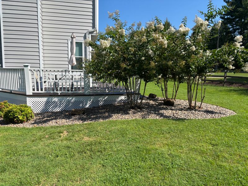 Landscape Design